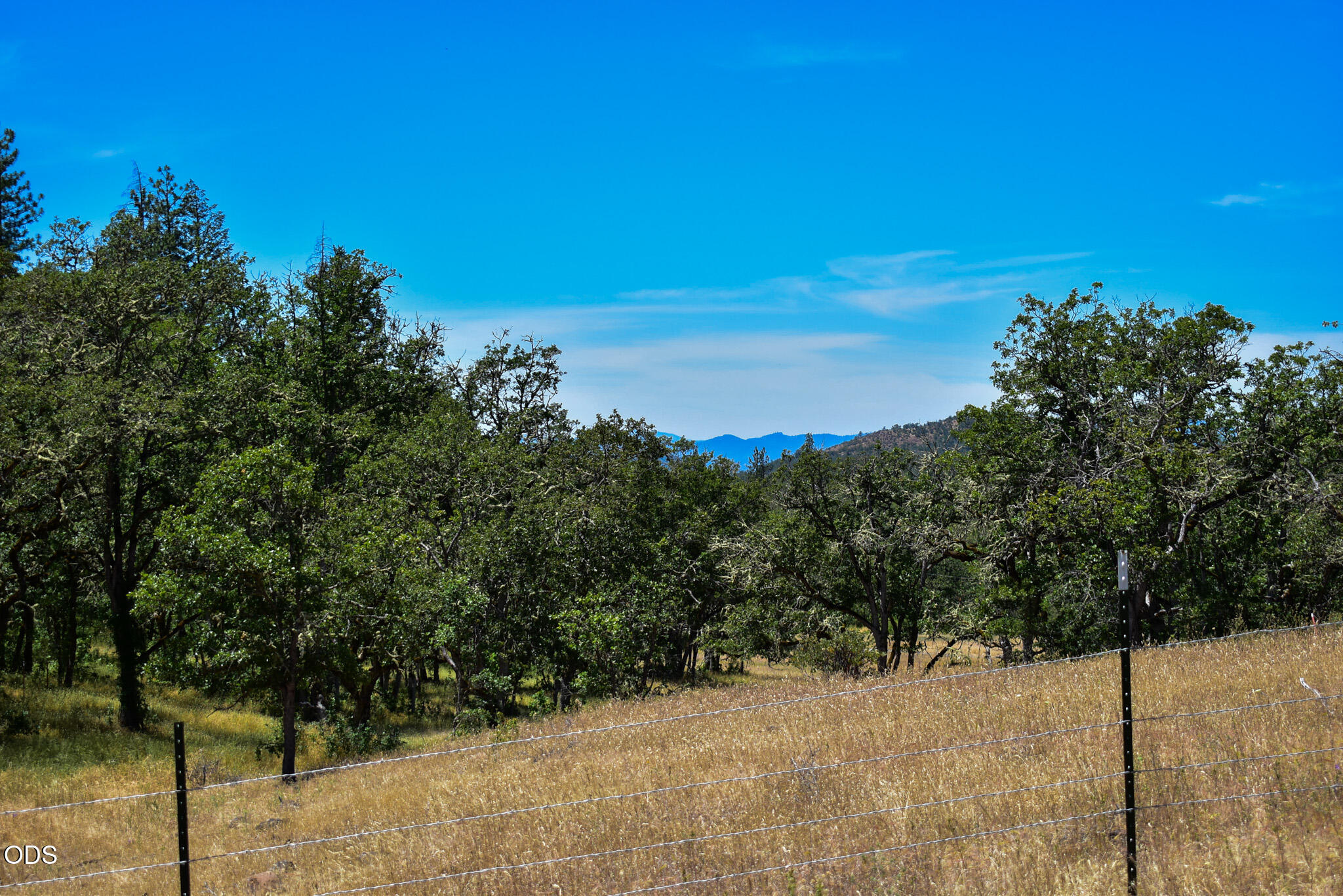 1956 Worthington Road Eagle Point, OR 97524 - Photo 41 of 43