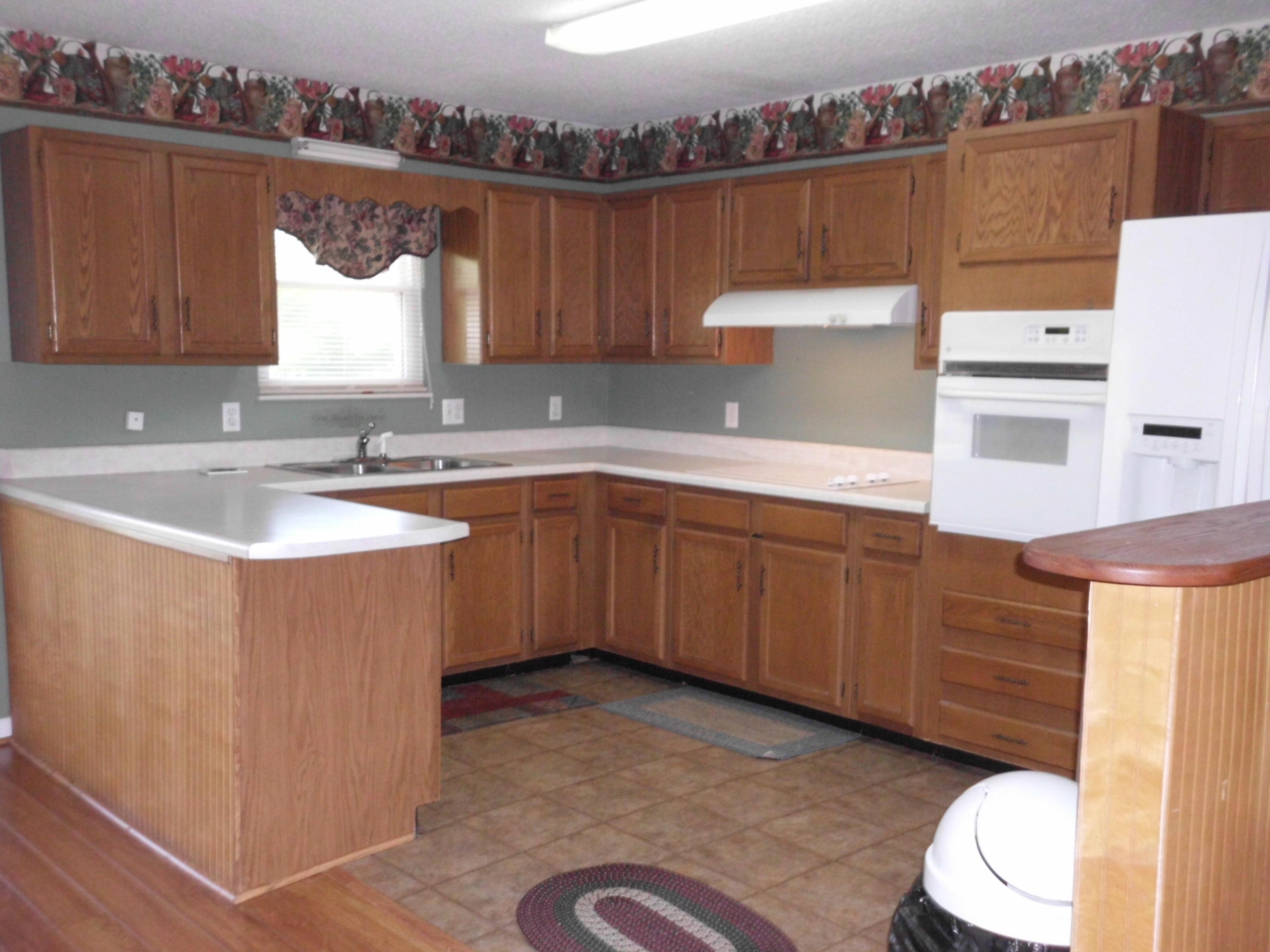293 Buffalo Road Clinton, TN 37716 - Photo 10 of 14 Lots of Cabinets