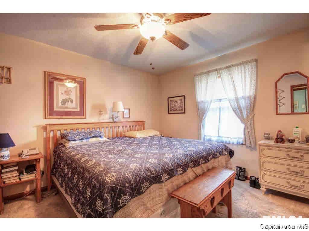 113 Walnut Valley Drive Springfield, IL 62707 - Photo 24 of 34