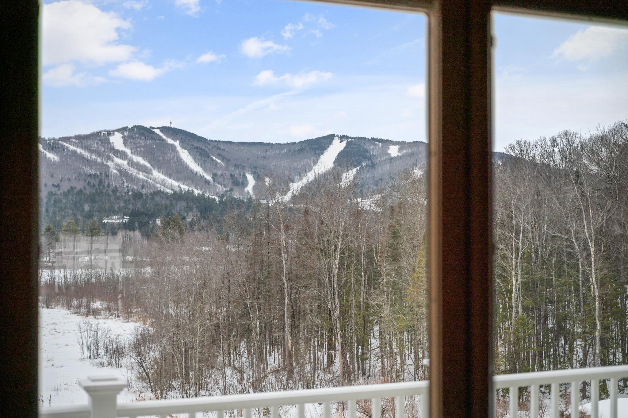 108 Littlefield Road Danbury, NH 03230 - Photo 52 of 60 Gallery Image 52