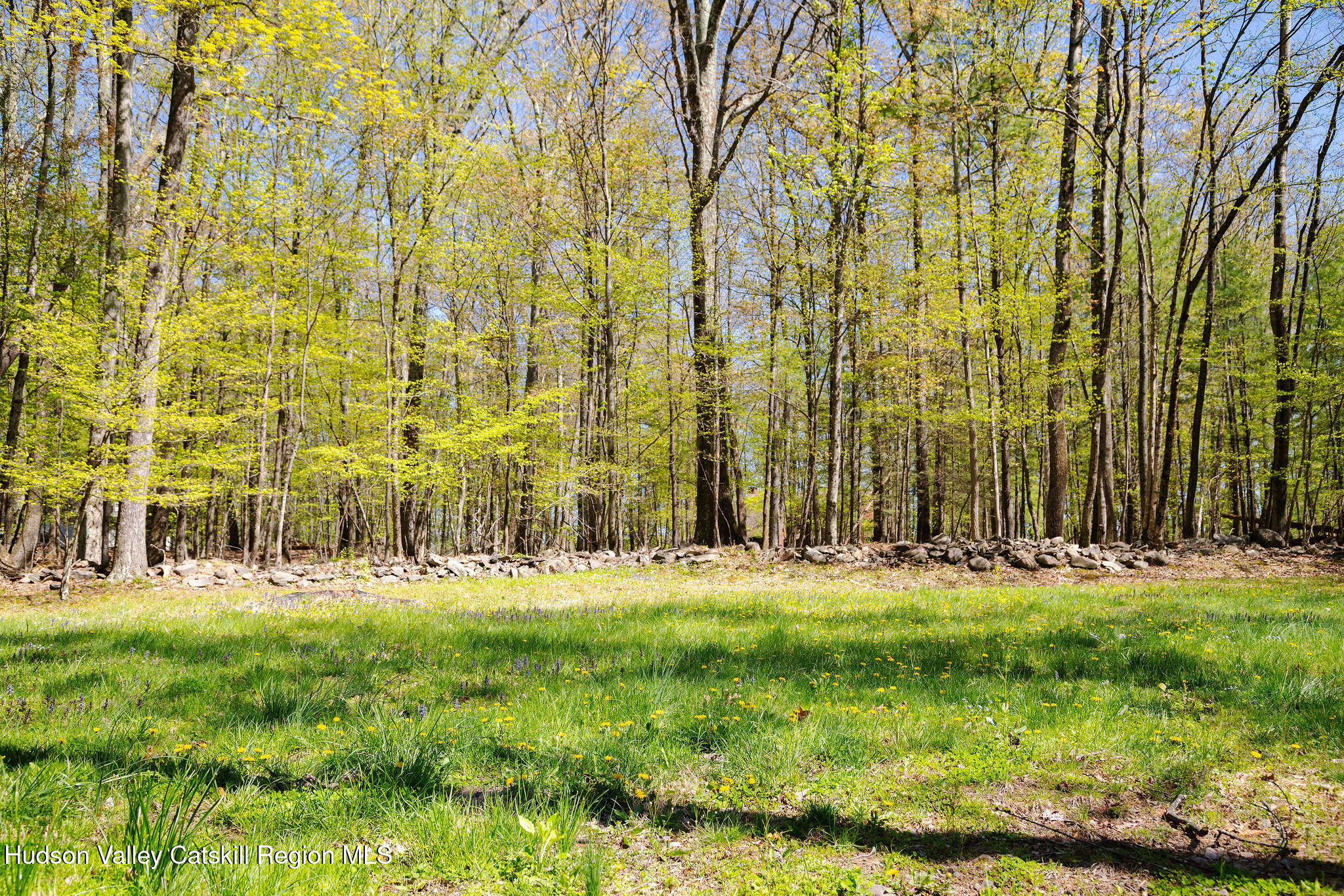 171 West Hurley Road West Hurley, NY 12491 - Photo 36 of 37 171WHurleyRd_Spring_6