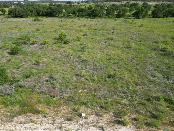 a view of a field with a tree