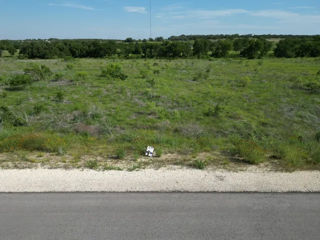 a view of a field with a tree