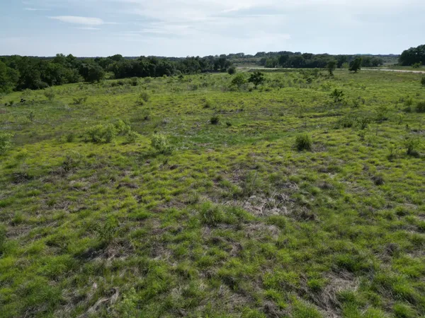 a view of a lush green field