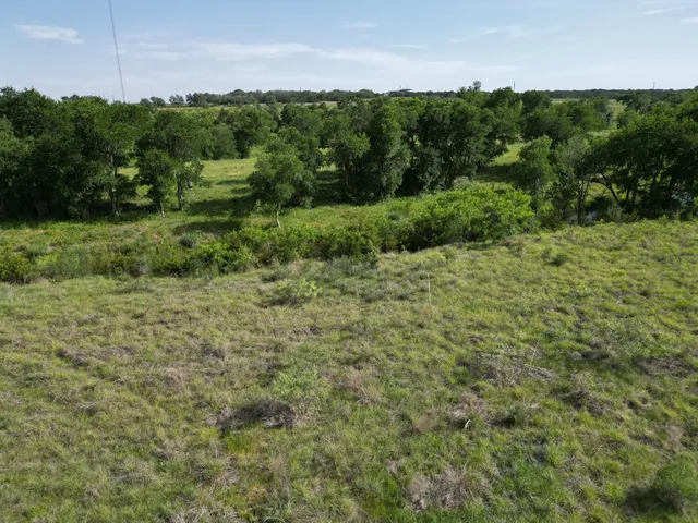 a view of a field of grass and trees
