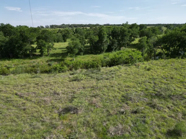 a view of a field of grass and trees