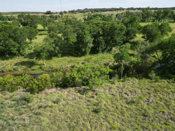 a view of a lush green forest with trees and some houses