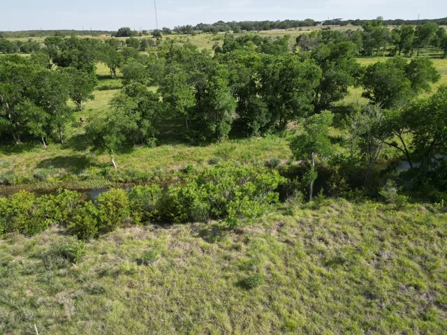 a view of a lush green forest with trees and some houses