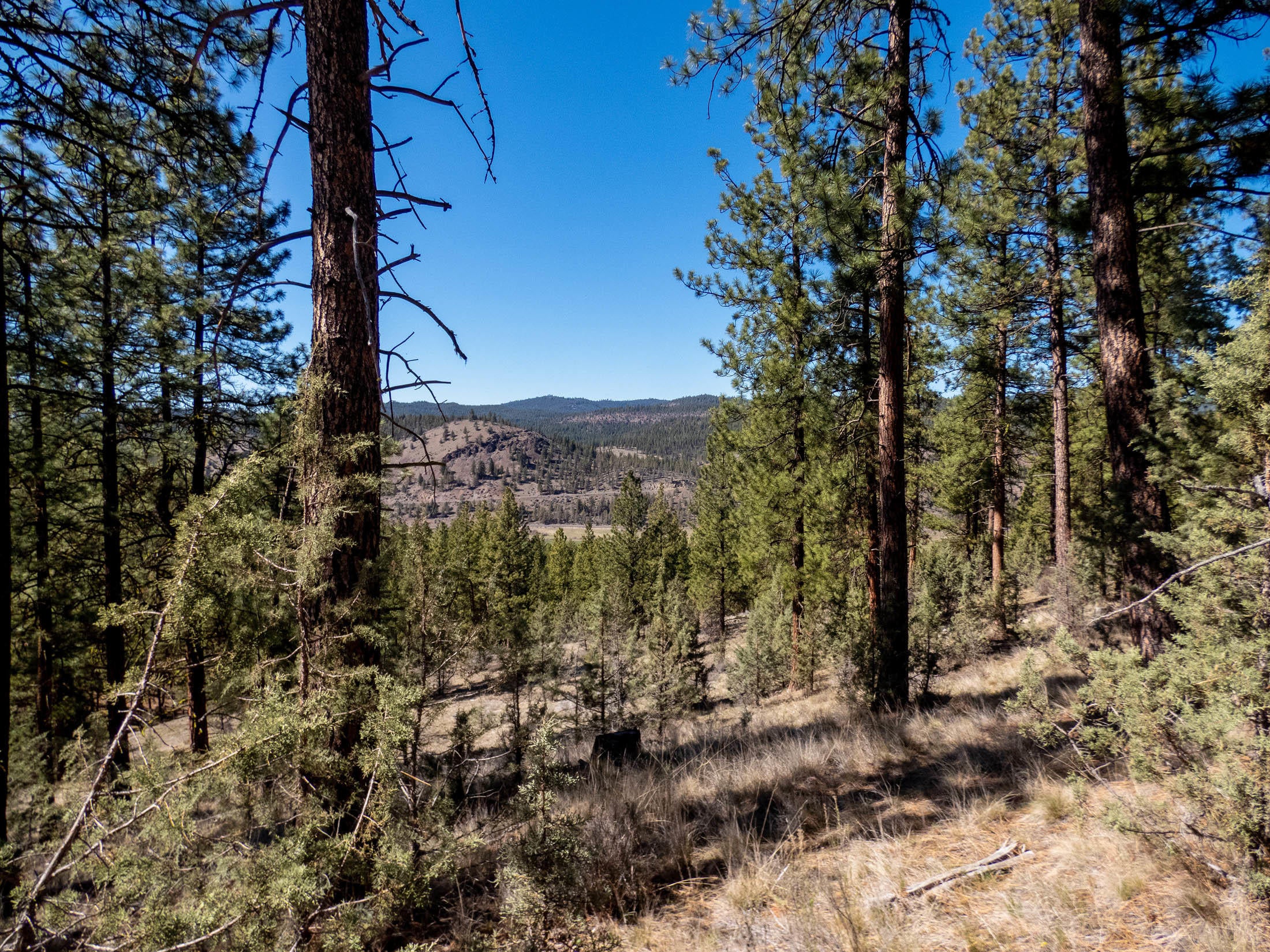 24302 Northeast Ochoco Ranger Station Road Prineville, OR 97754 - Photo 18 of 22 Ochoco Creek Rd SZ_0336 copy