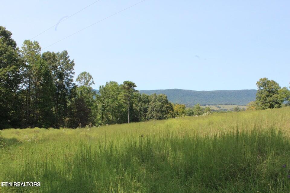 740 White Oak Road Speedwell, TN 37870 - Photo 14 of 51 g15
