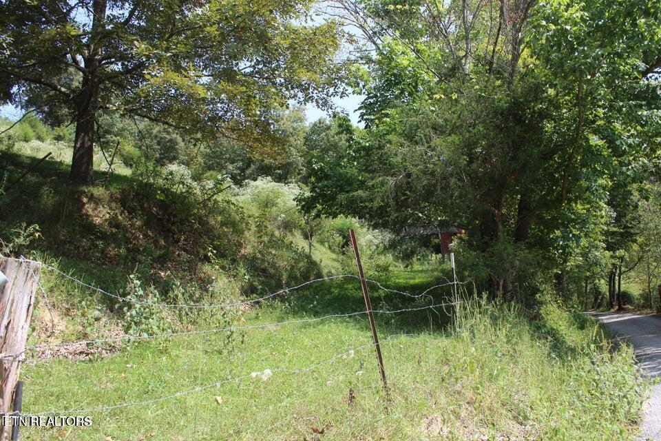 740 White Oak Road Speedwell, TN 37870 - Photo 19 of 51 g20