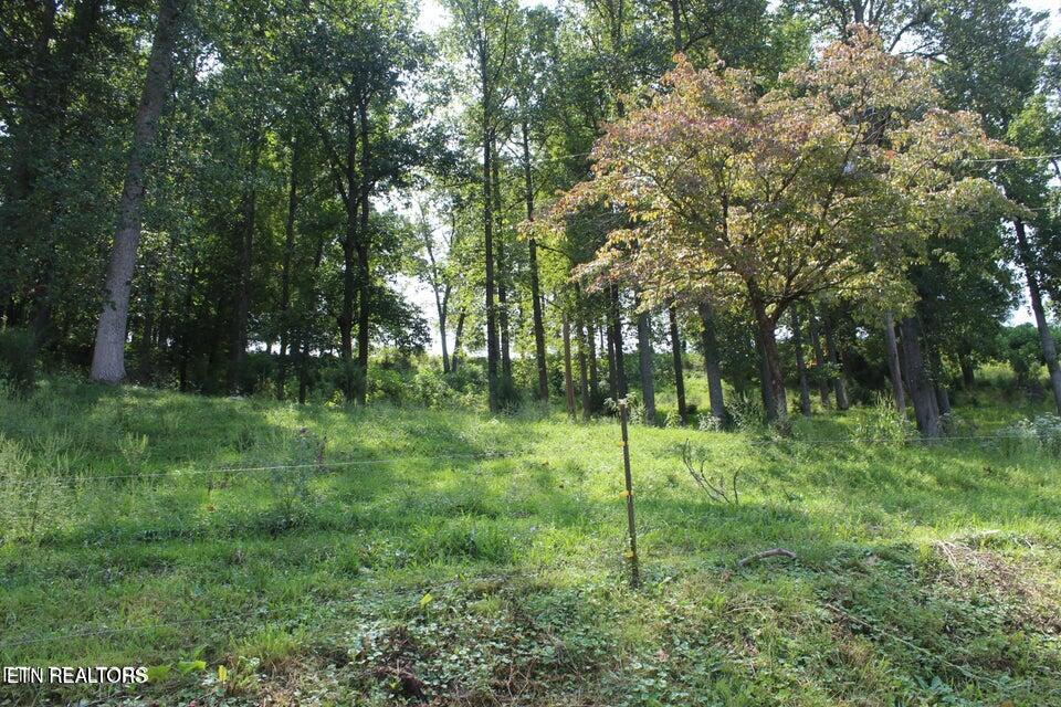 740 White Oak Road Speedwell, TN 37870 - Photo 24 of 51 g25