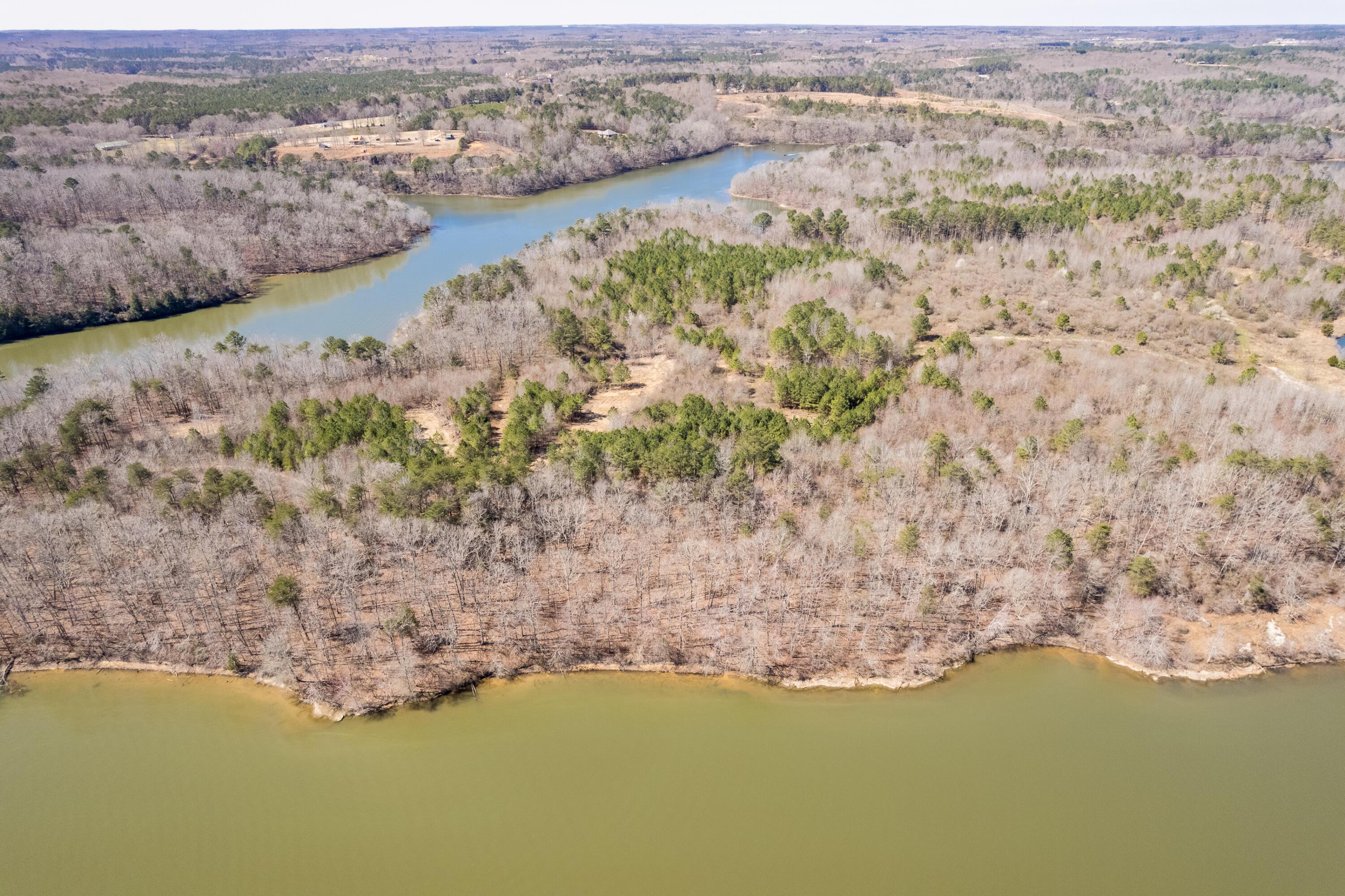 0 Dime Road Phil Campbell, AL 35581 - Photo 2 of 18 Aerial