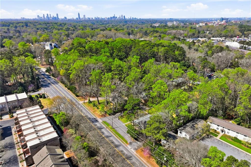 1010 Scott Boulevard, Unit A2 Decatur, GA 30030 - Photo 22 of 23 a view of a city with lush green forest