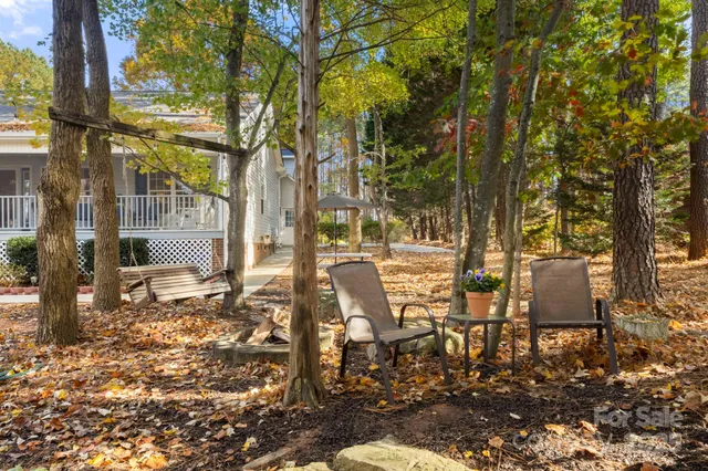 a row of trees and covered with trees