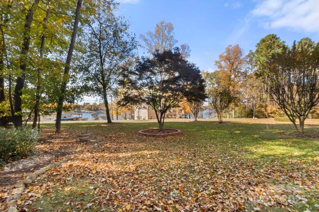 a view of a yard with large trees