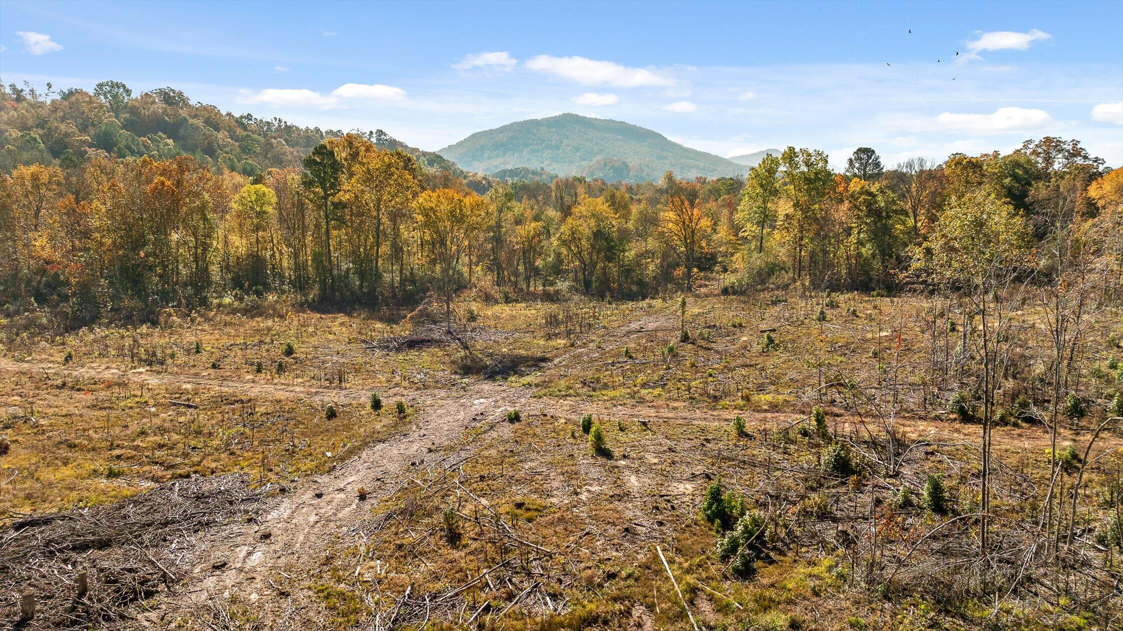 1 A & B I-75/beavers Road Rocky Face, GA 30740 - Photo 11 of 51 45-Beavers-45
