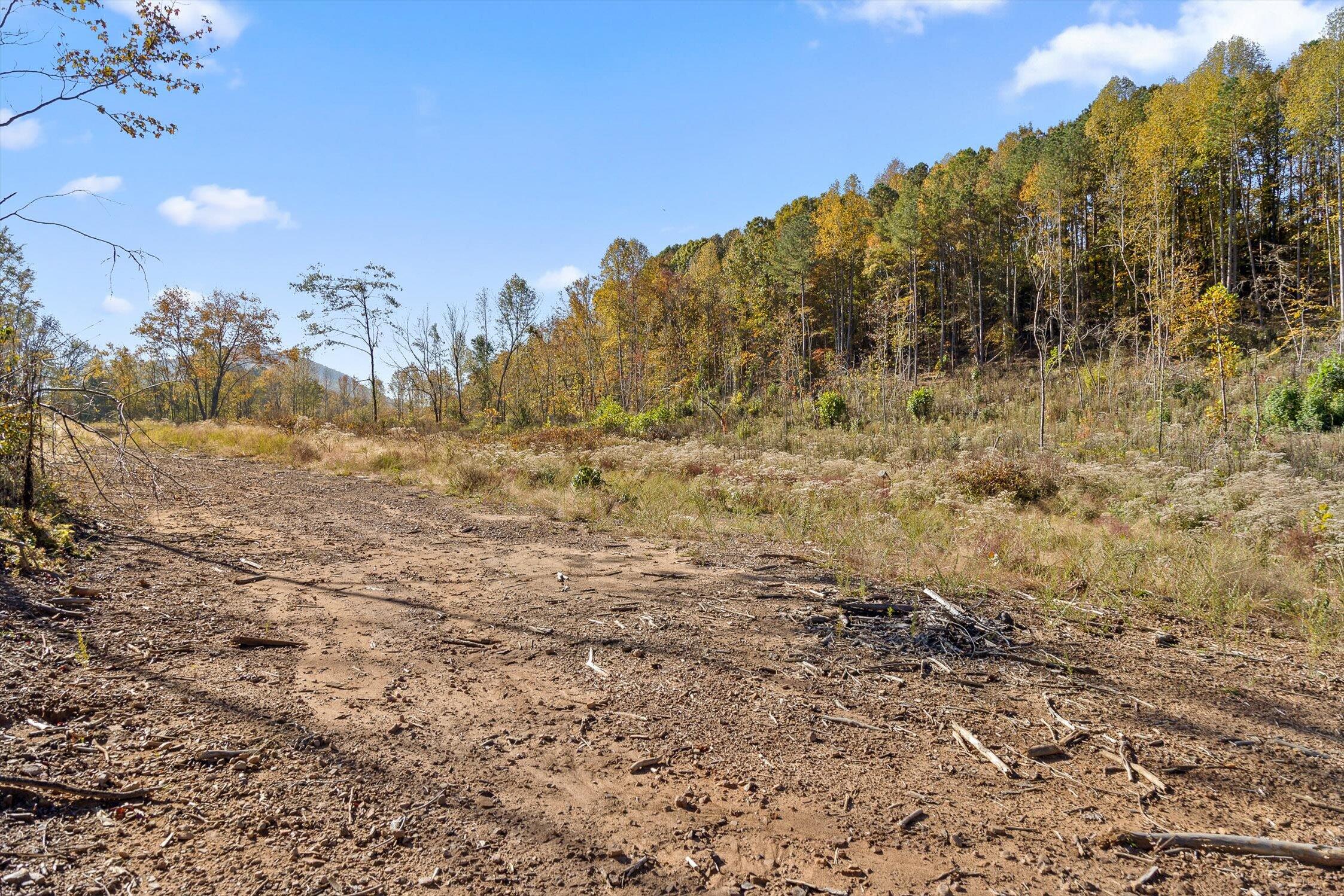 1 A & B I-75/beavers Road Rocky Face, GA 30740 - Photo 12 of 51 04-Beavers-4
