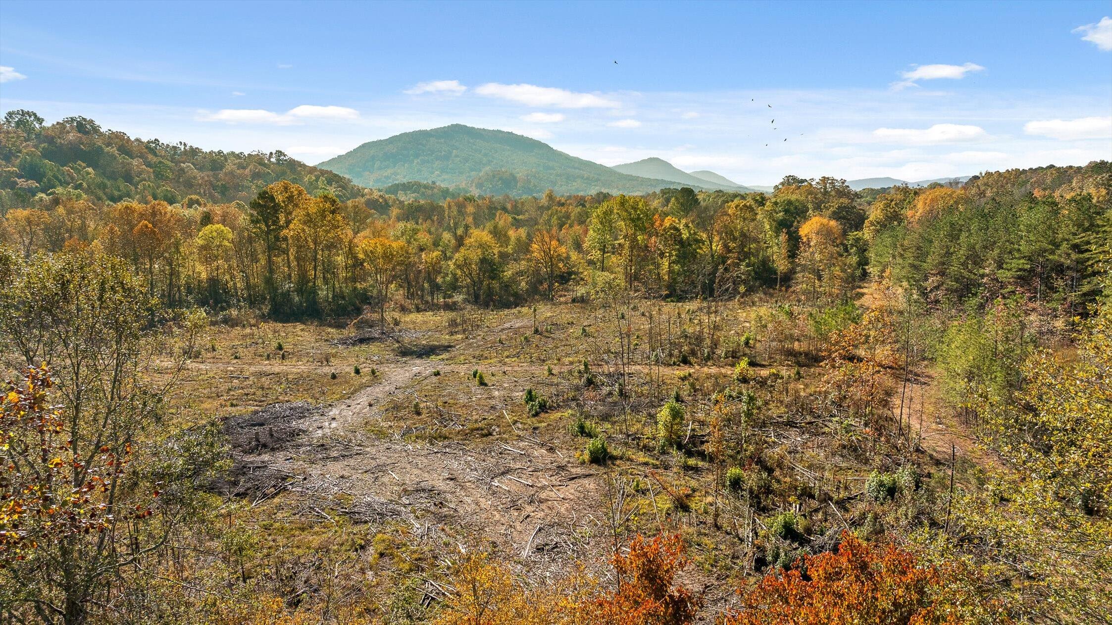 1 A & B I-75/beavers Road Rocky Face, GA 30740 - Photo 13 of 51 44-Beavers-44