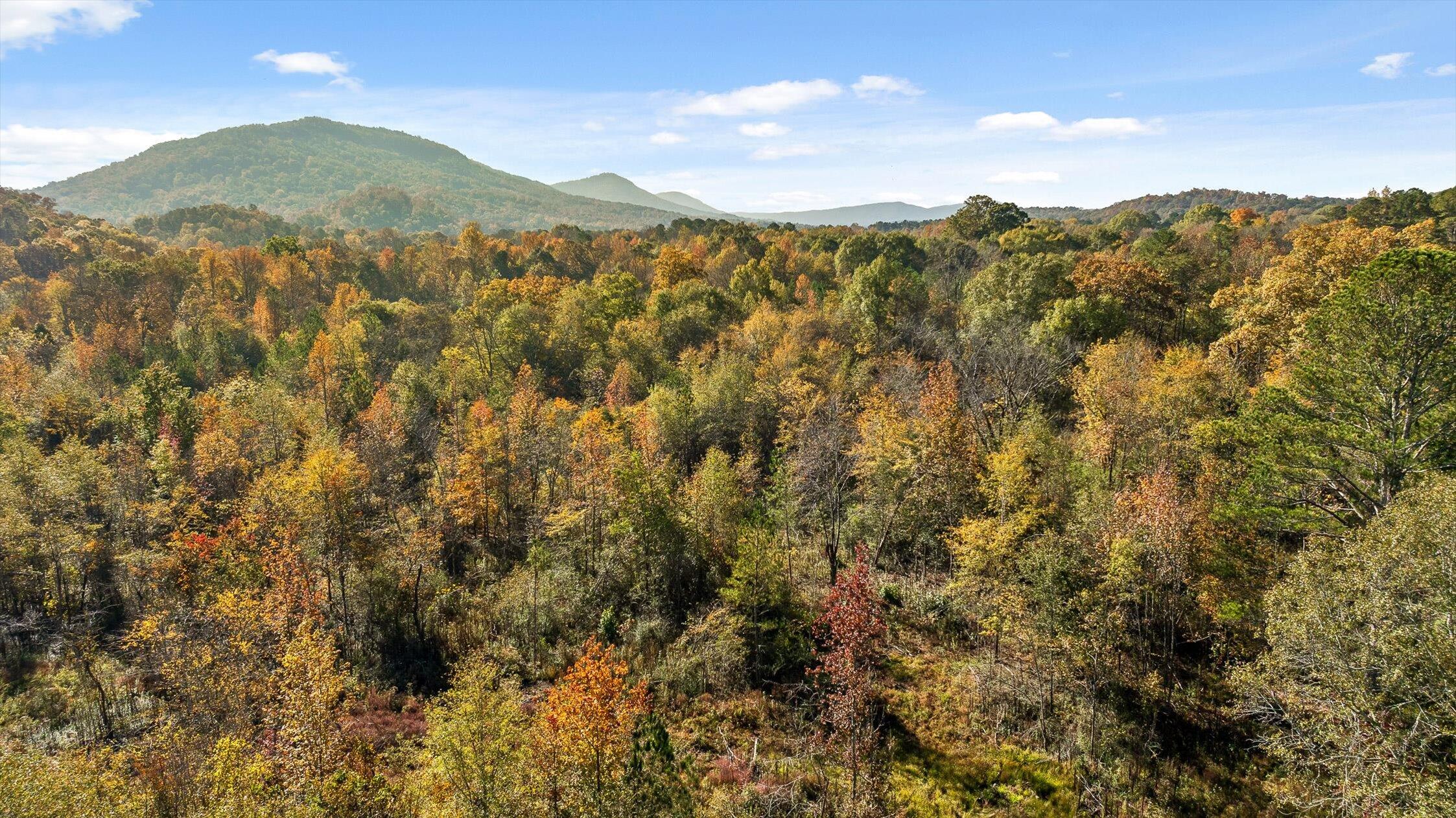 1 A & B I-75/beavers Road Rocky Face, GA 30740 - Photo 14 of 51 47-Beavers-47