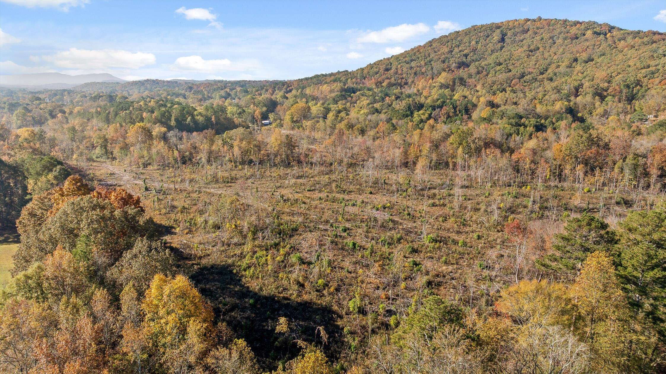 1 A & B I-75/beavers Road Rocky Face, GA 30740 - Photo 35 of 51 22-Beavers-22