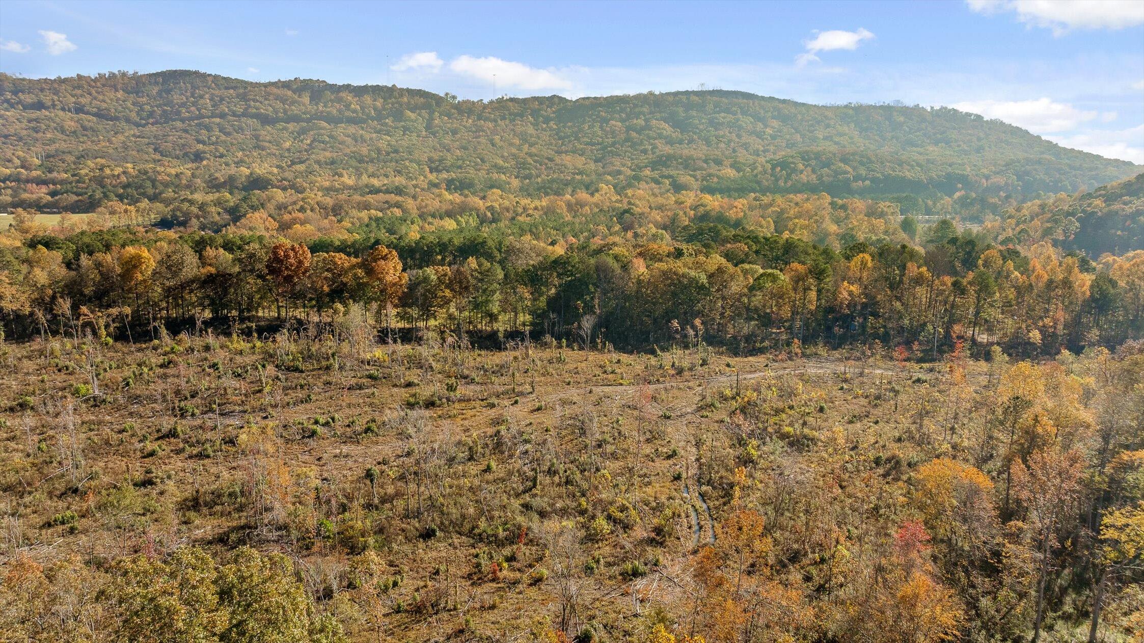 1 A & B I-75/beavers Road Rocky Face, GA 30740 - Photo 40 of 51 16-Beavers-16