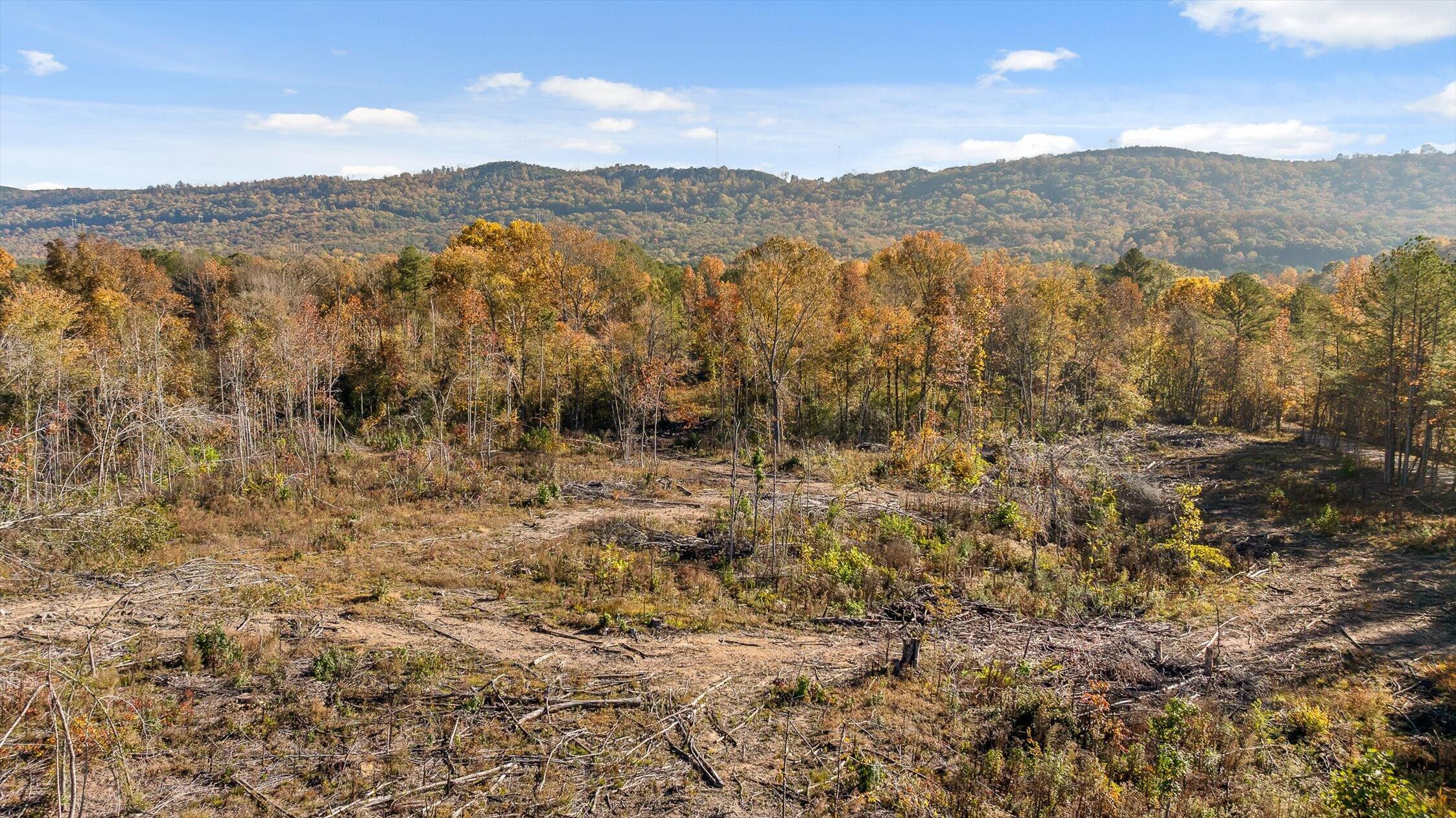 1 A & B I-75/beavers Road Rocky Face, GA 30740 - Photo 44 of 51 12-Beavers-12