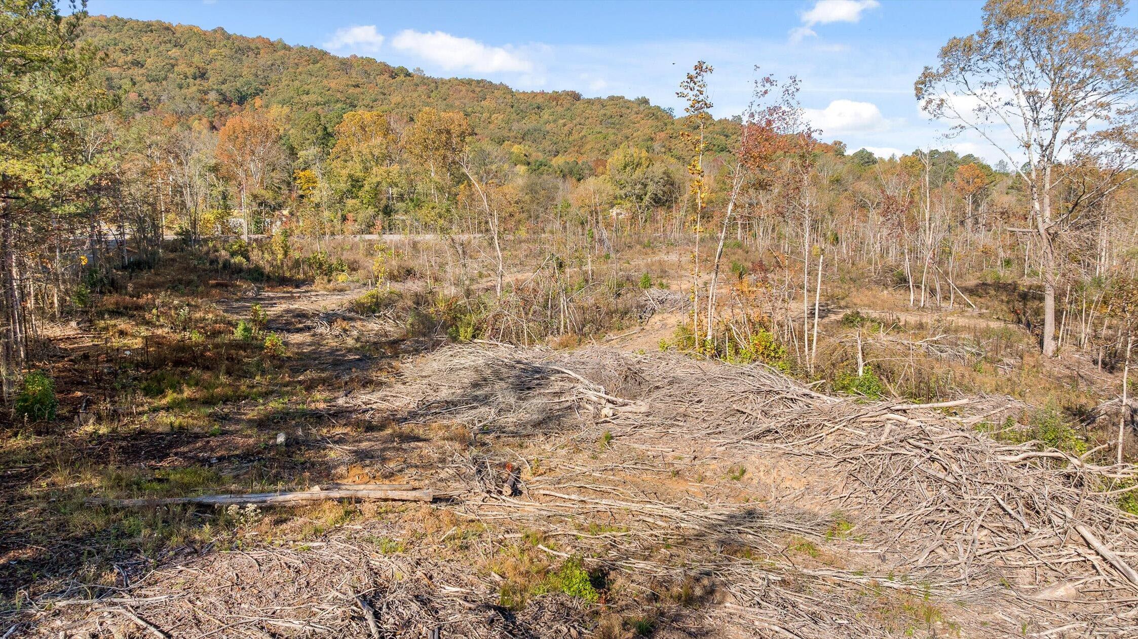 1 A & B I-75/beavers Road Rocky Face, GA 30740 - Photo 47 of 51 10-Beavers-10