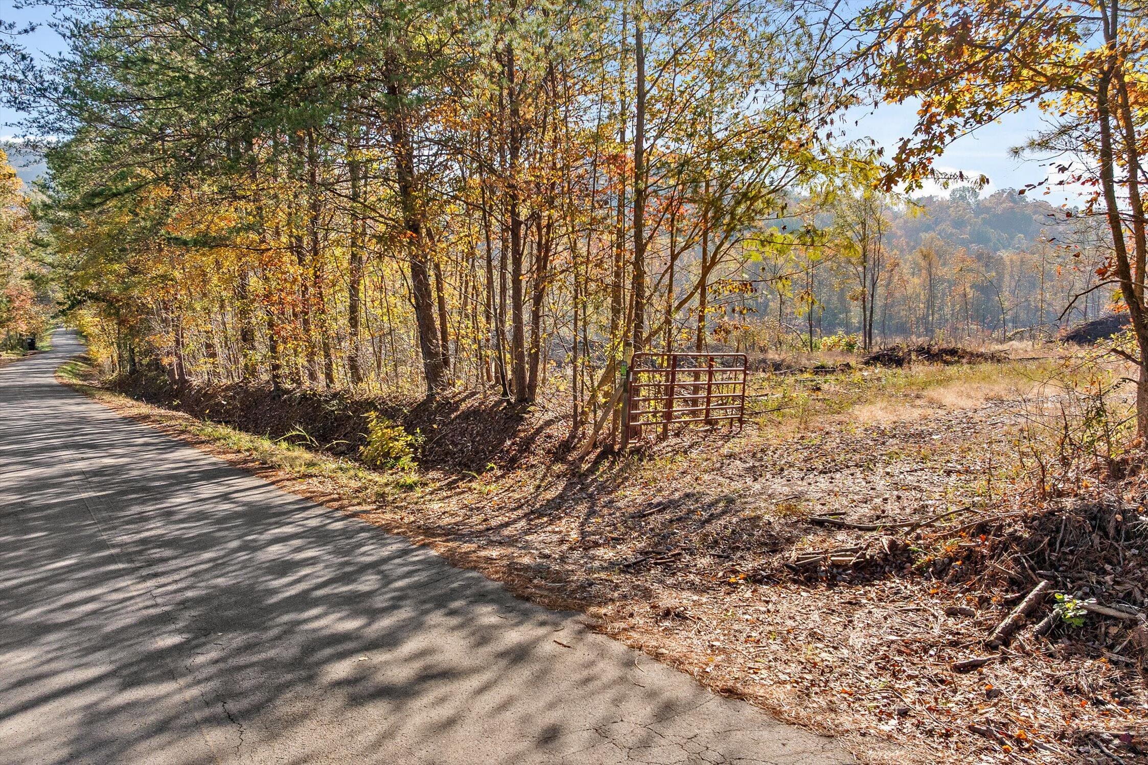1 A & B I-75/beavers Road Rocky Face, GA 30740 - Photo 48 of 51 08-Beavers-8
