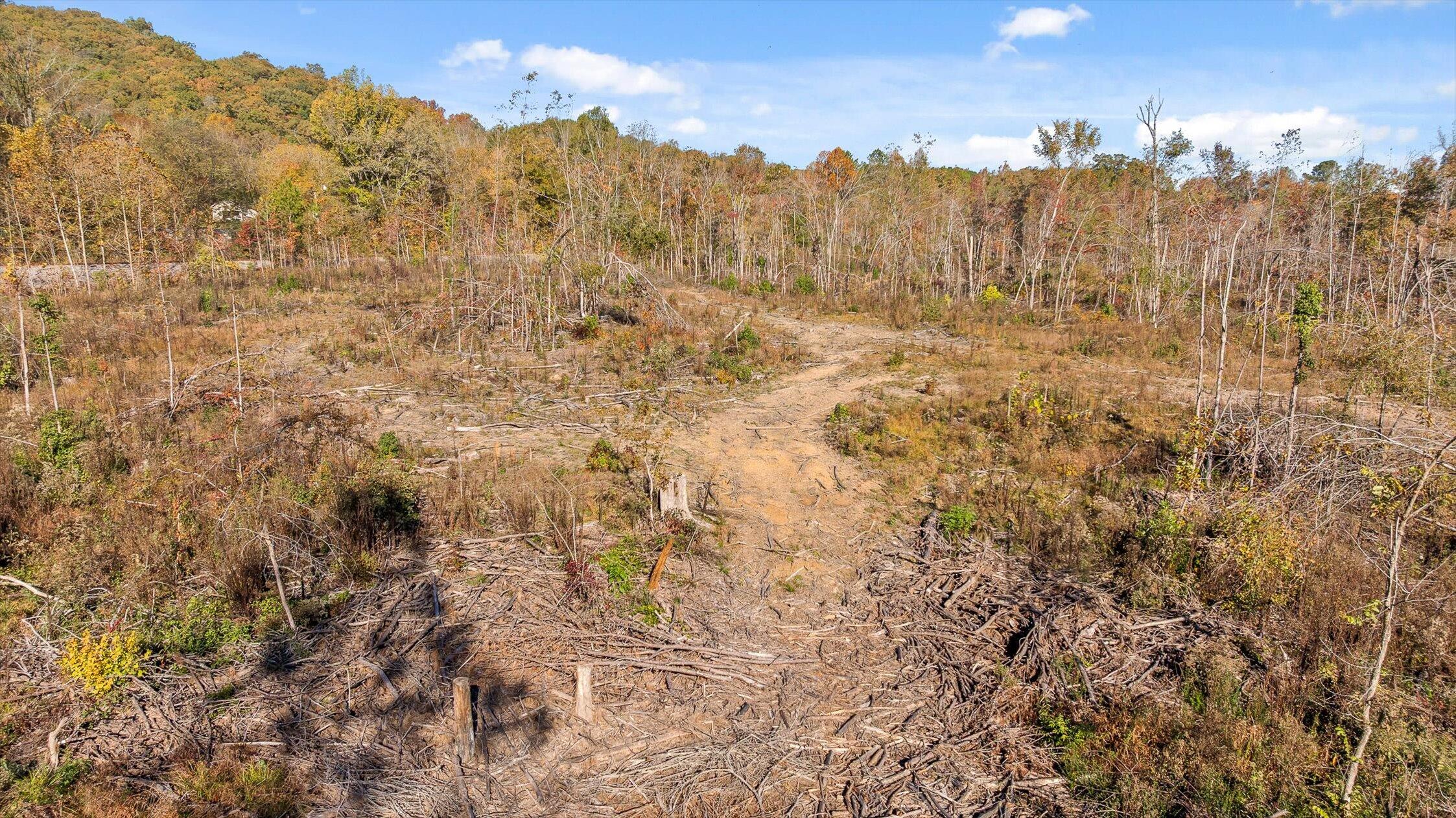 1 A & B I-75/beavers Road Rocky Face, GA 30740 - Photo 49 of 51 11-Beavers-11