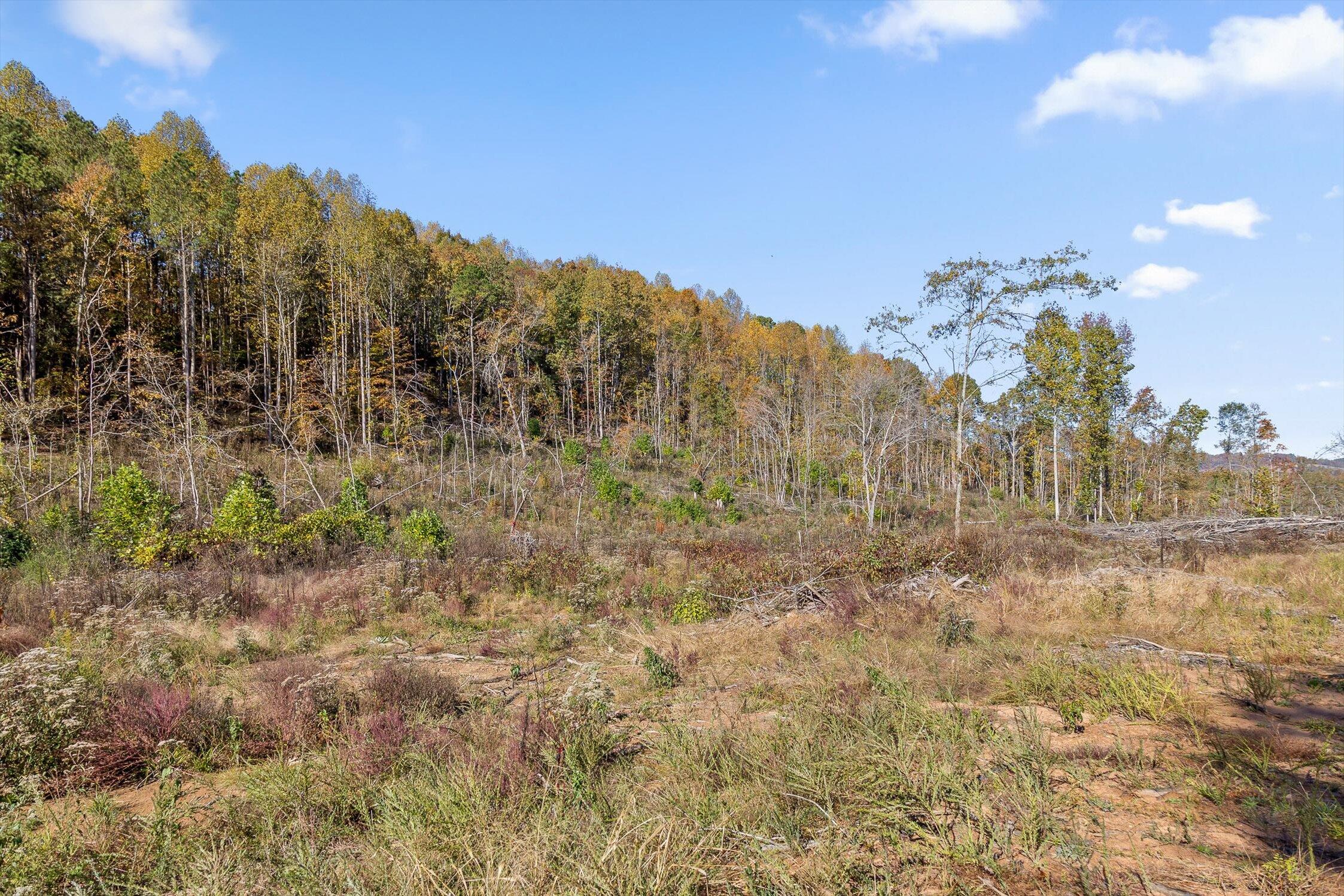 1 A & B I-75/beavers Road Rocky Face, GA 30740 - Photo 50 of 51 07-Beavers-7