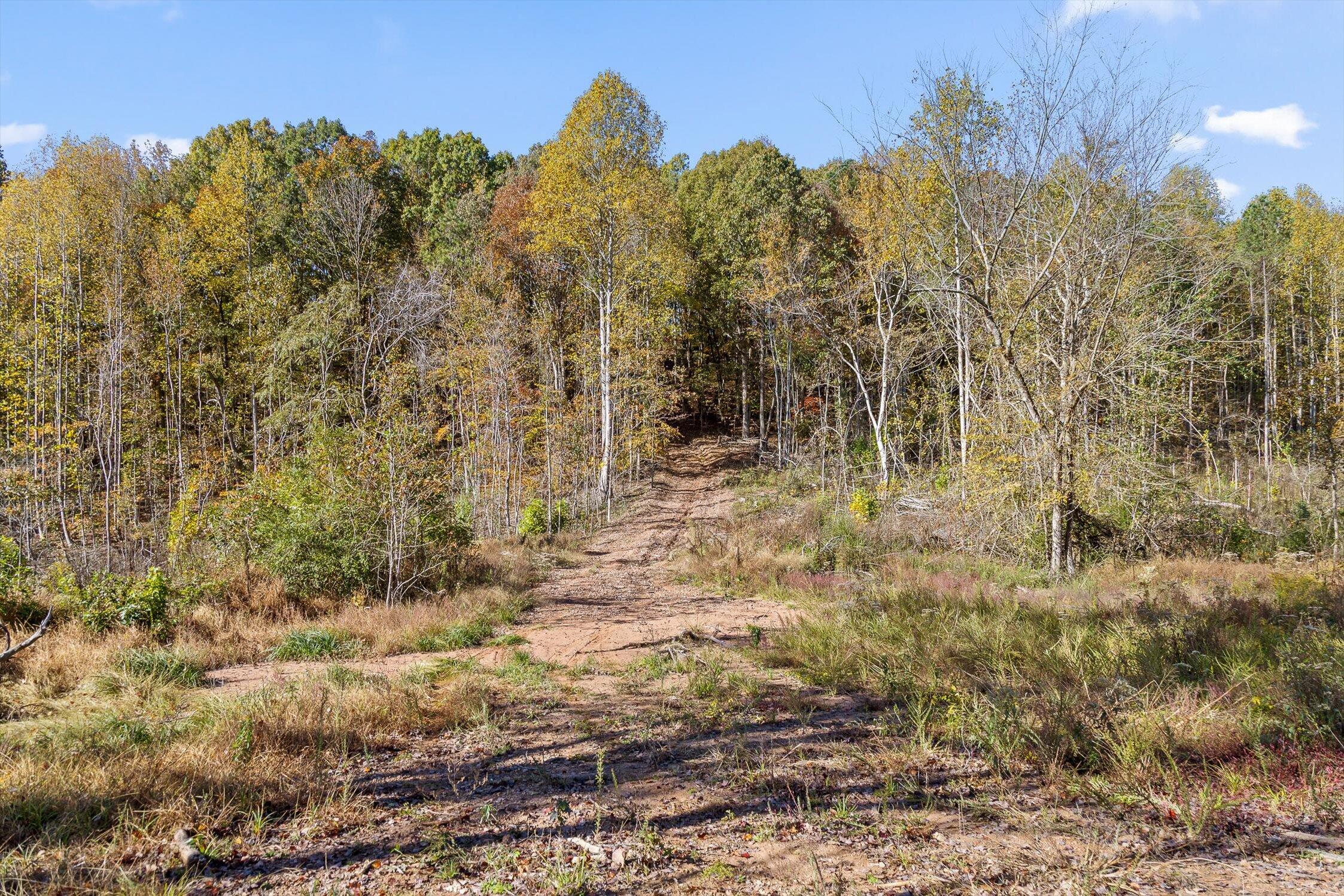 1 A & B I-75/beavers Road Rocky Face, GA 30740 - Photo 51 of 51 06-Beavers-6