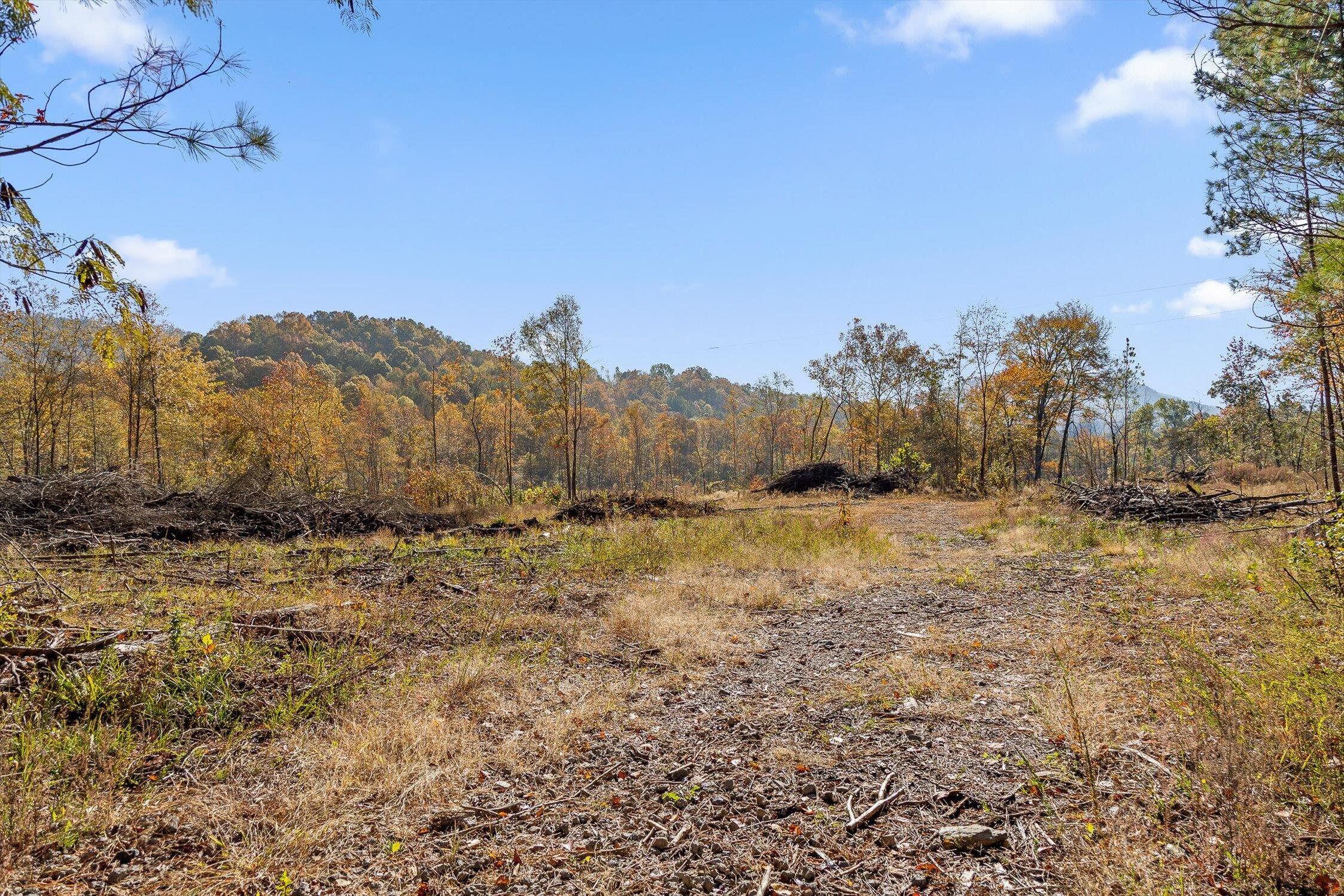 1 A & B I-75/beavers Road Rocky Face, GA 30740 - Photo 6 of 51 02-Beavers-2