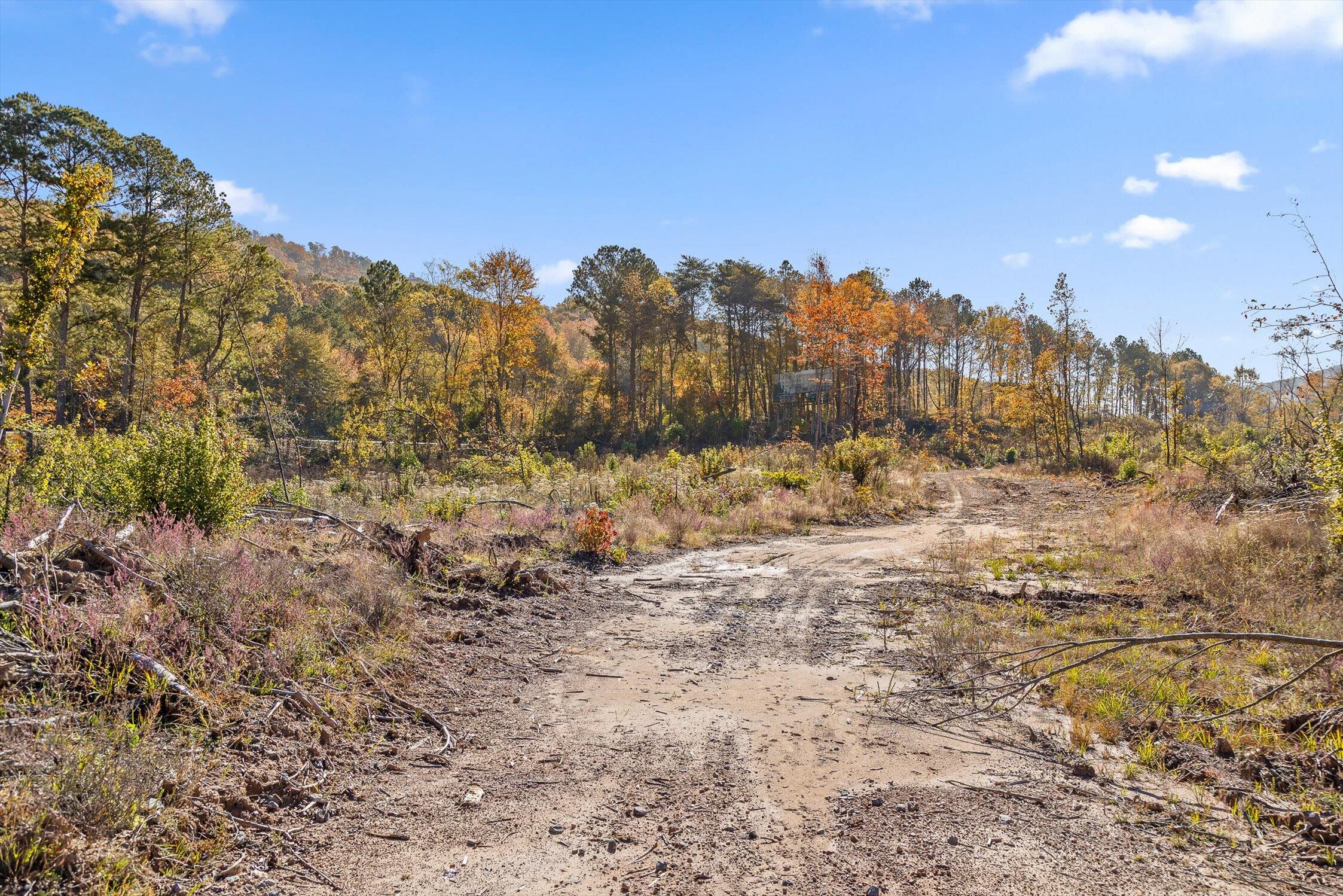 1 A & B I-75/beavers Road Rocky Face, GA 30740 - Photo 7 of 51 03-Beavers-3