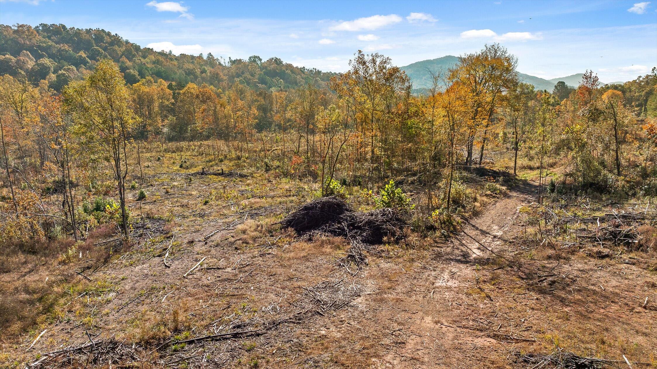 1 A & B I-75/beavers Road Rocky Face, GA 30740 - Photo 8 of 51 43-Beavers-43