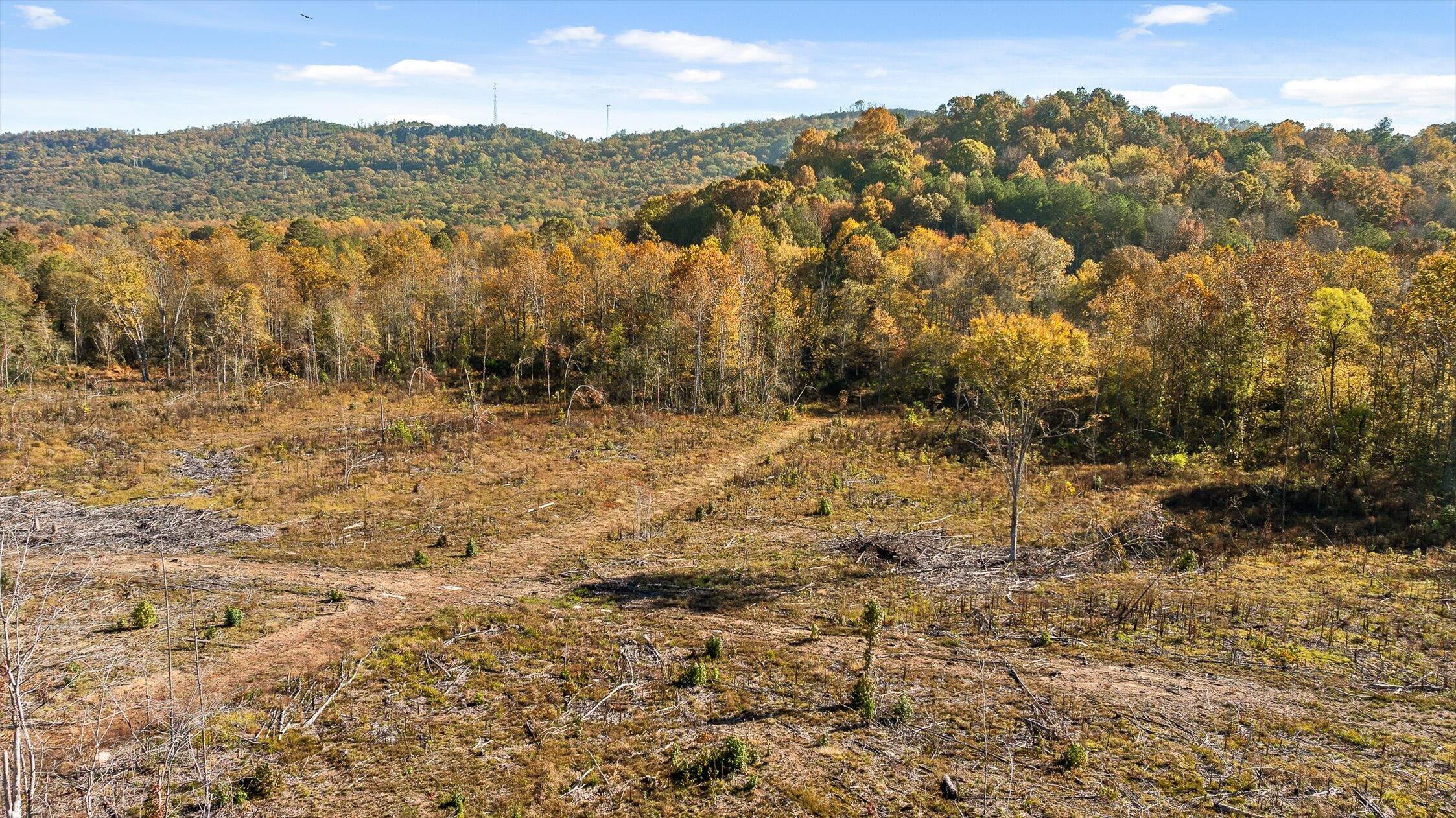 1 A & B I-75/beavers Road Rocky Face, GA 30740 - Photo 10 of 51 46-Beavers-46