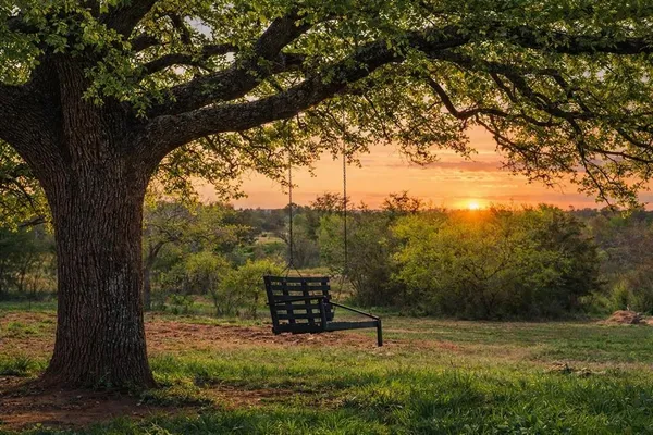 a view of a yard with mountain