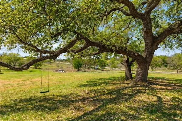 a view of a yard with a tree