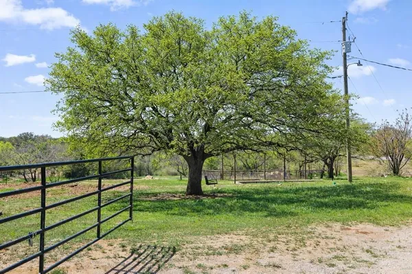 a view of a yard with large trees