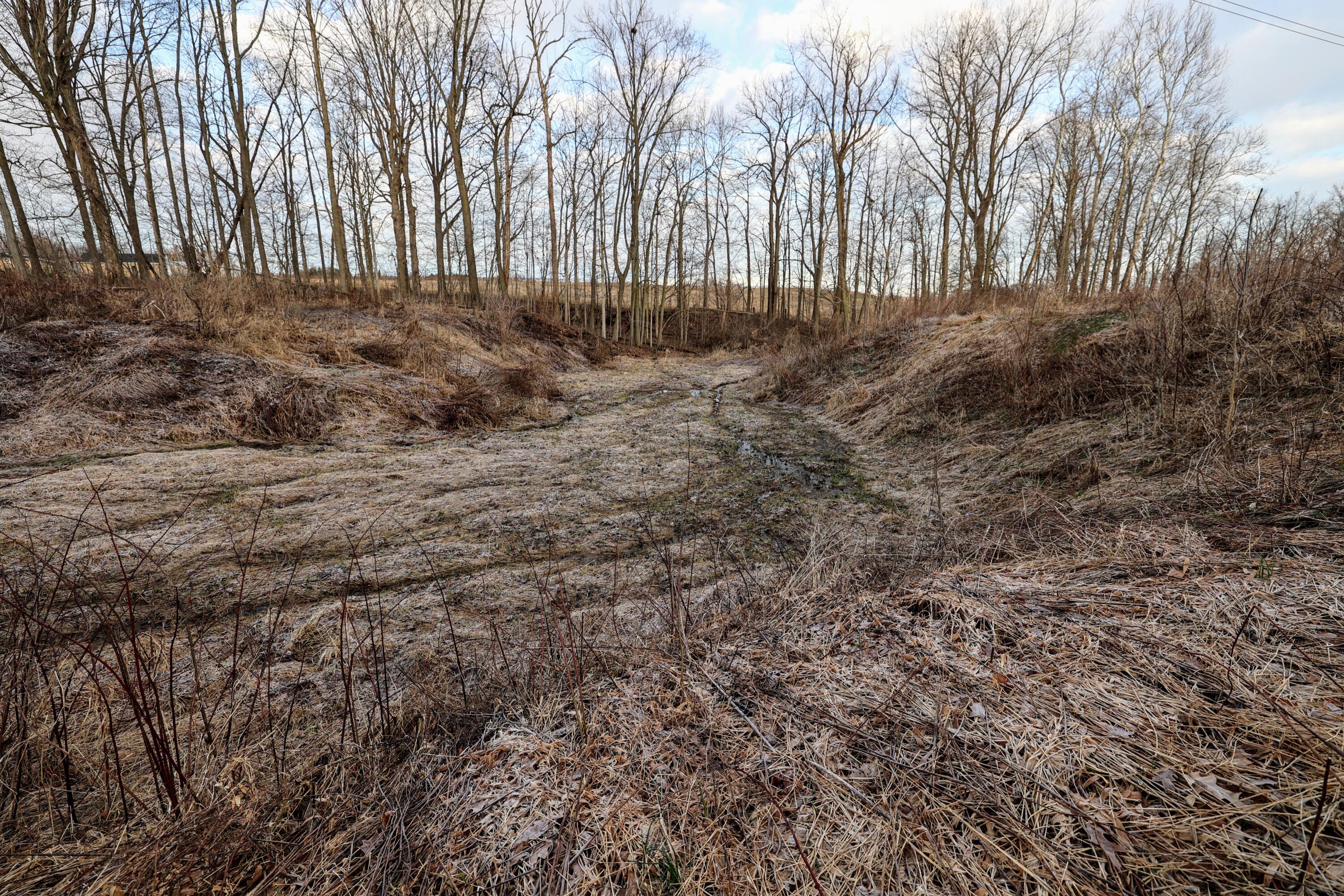 Vl West Glendora Road Buchanan, MI 49107 - Photo 13 of 55 13