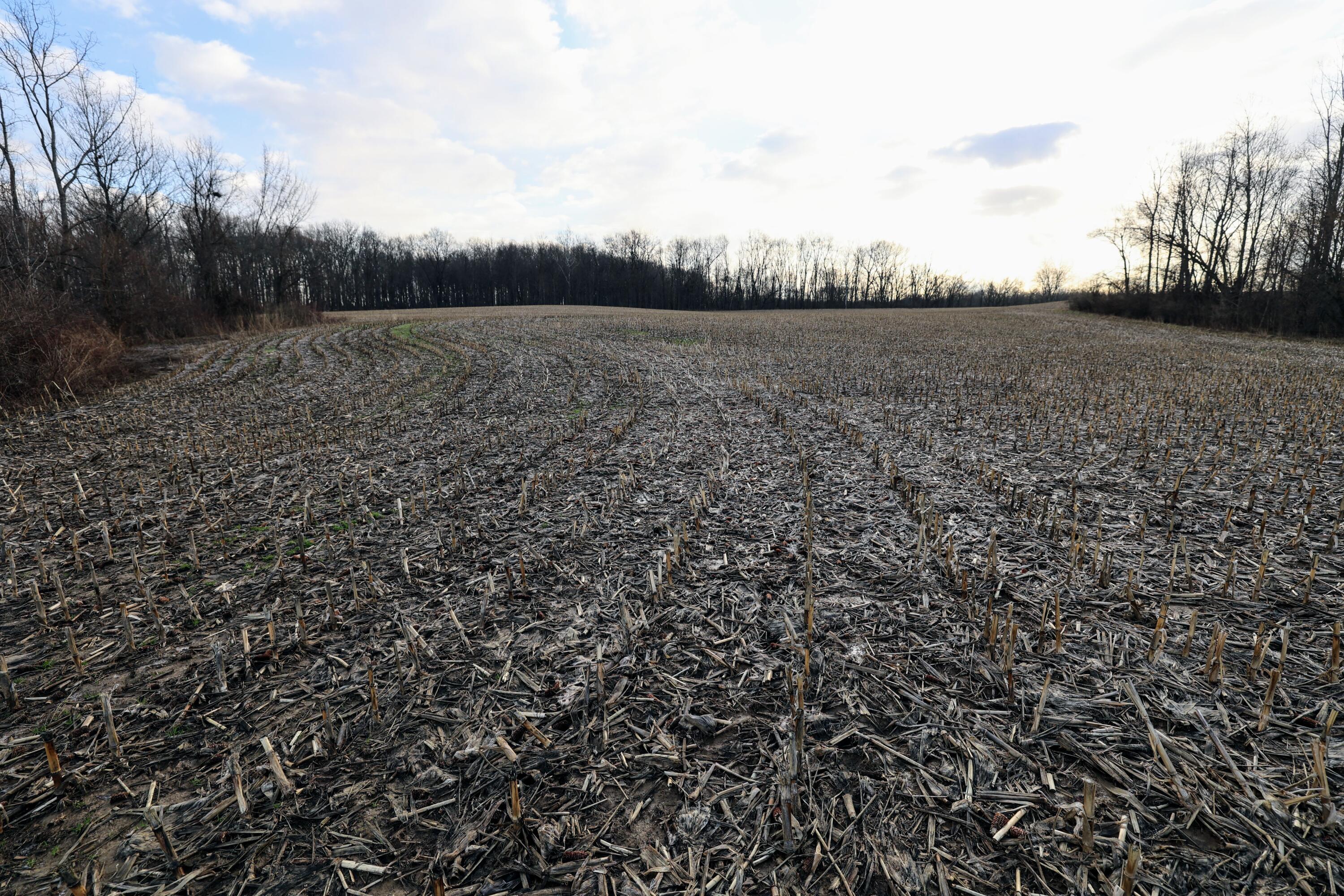 Vl West Glendora Road Buchanan, MI 49107 - Photo 16 of 55 16