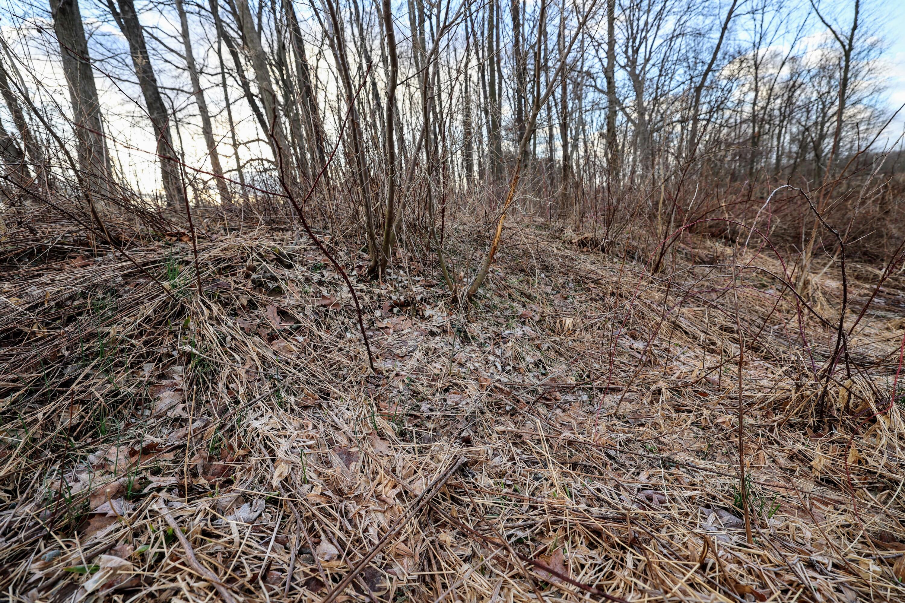 Vl West Glendora Road Buchanan, MI 49107 - Photo 18 of 55 18