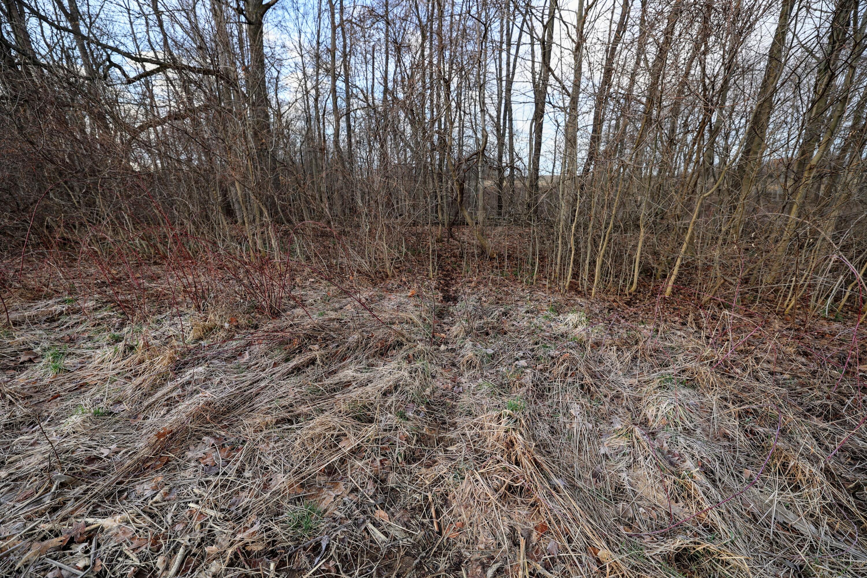 Vl West Glendora Road Buchanan, MI 49107 - Photo 19 of 55 19