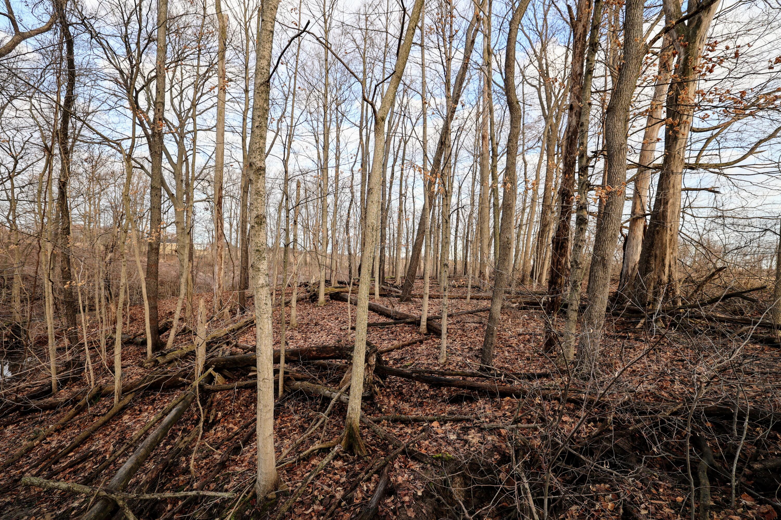 Vl West Glendora Road Buchanan, MI 49107 - Photo 21 of 55 21