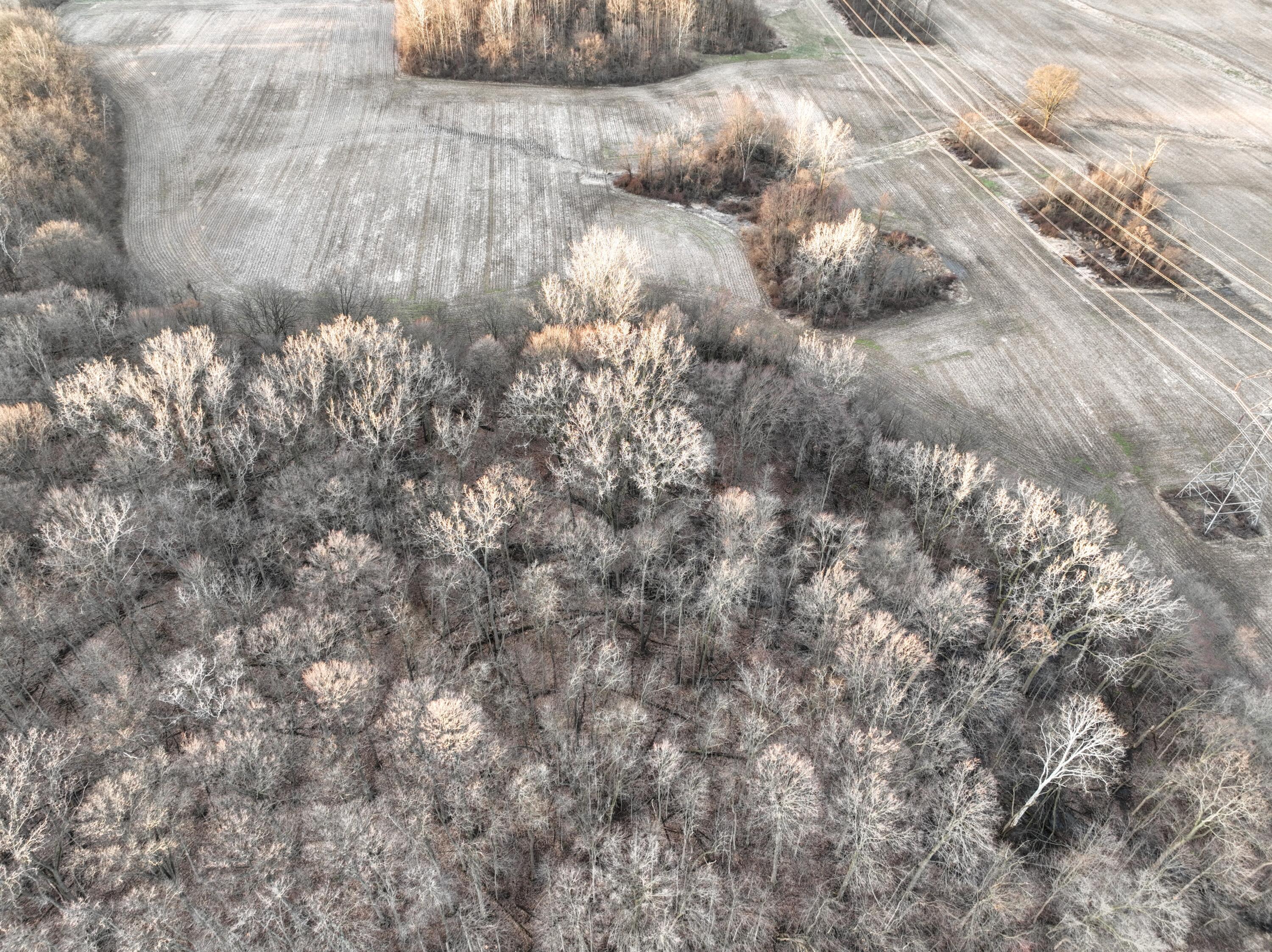 Vl West Glendora Road Buchanan, MI 49107 - Photo 28 of 55 28