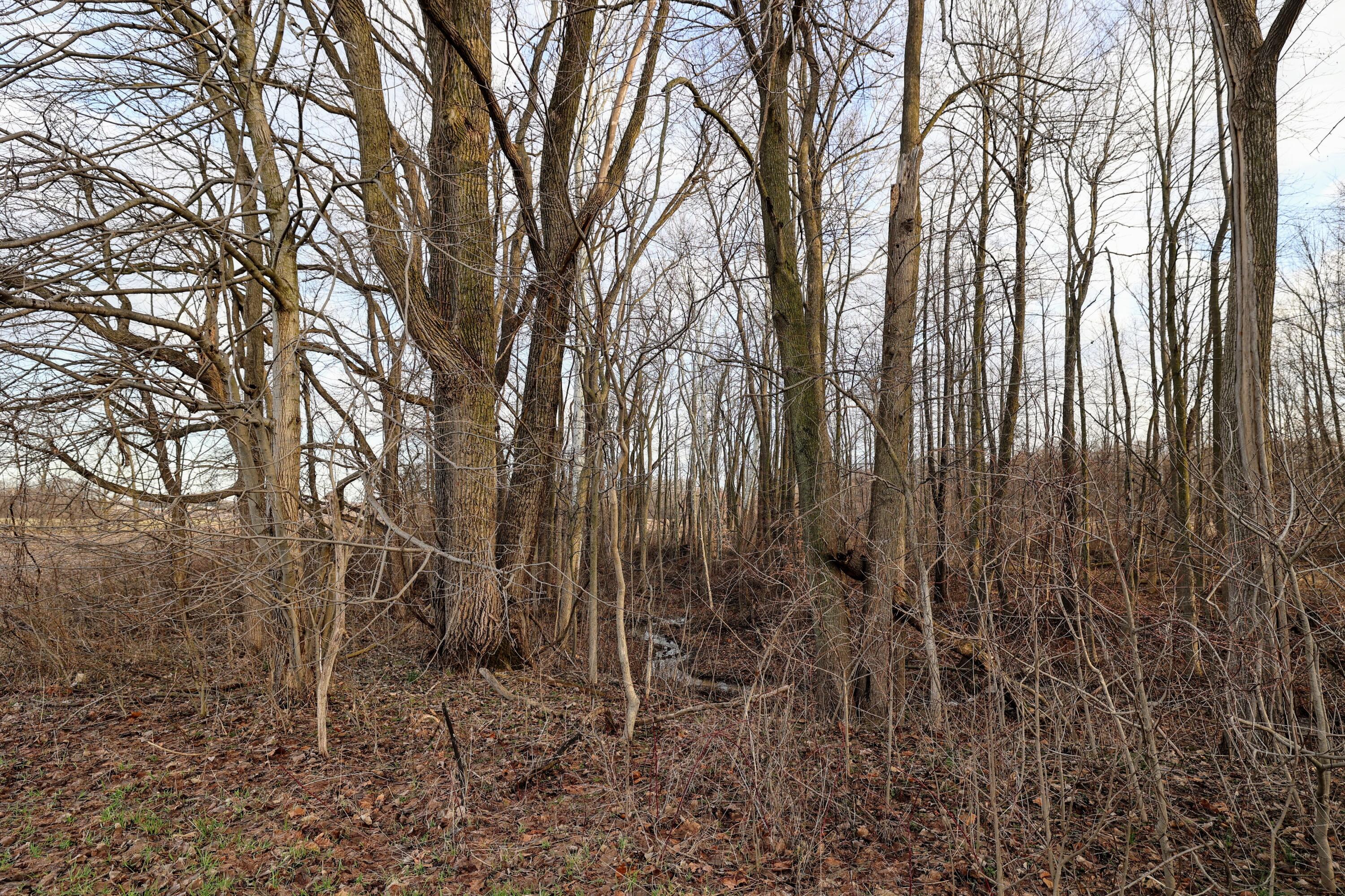 Vl West Glendora Road Buchanan, MI 49107 - Photo 29 of 55 29