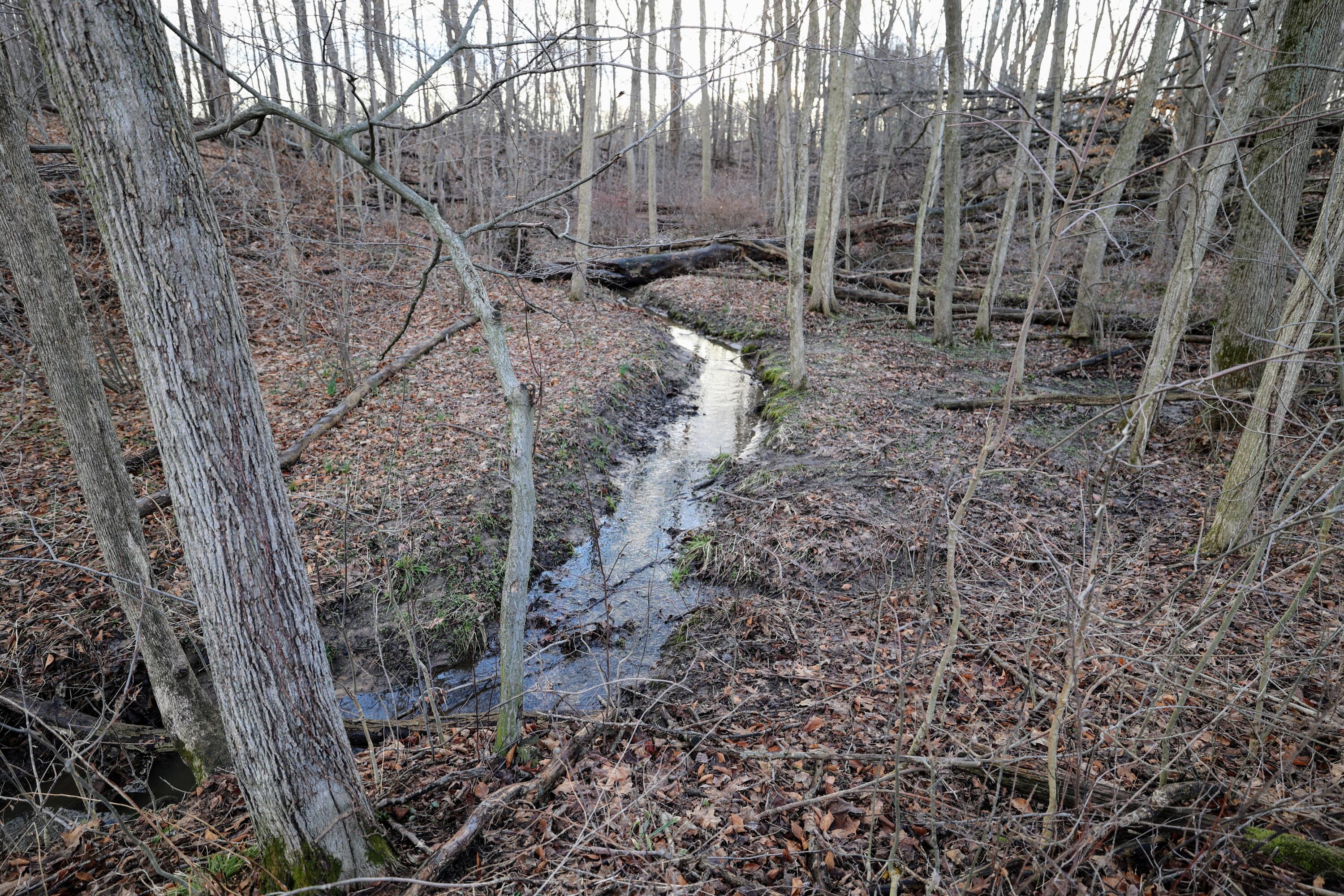 Vl West Glendora Road Buchanan, MI 49107 - Photo 3 of 55 3