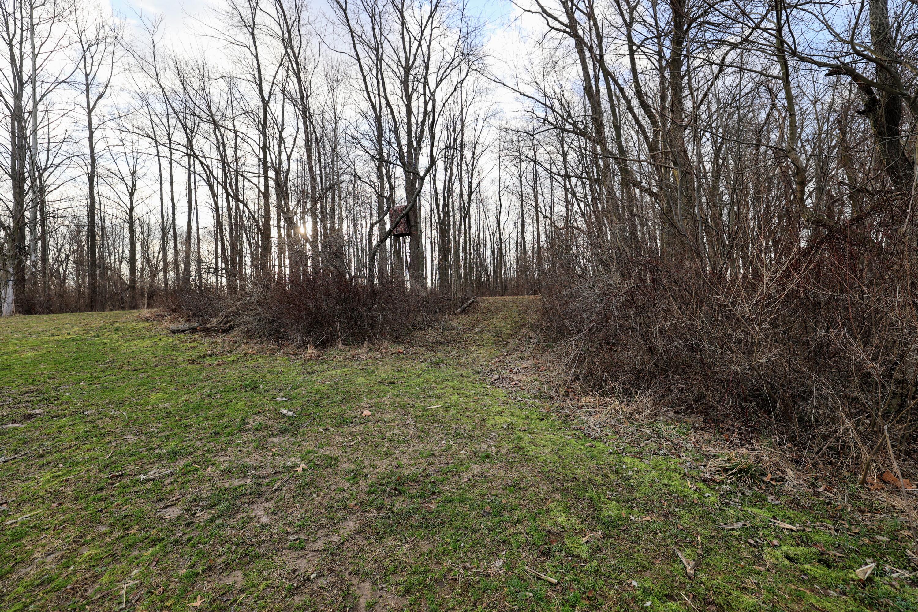 Vl West Glendora Road Buchanan, MI 49107 - Photo 31 of 55 31