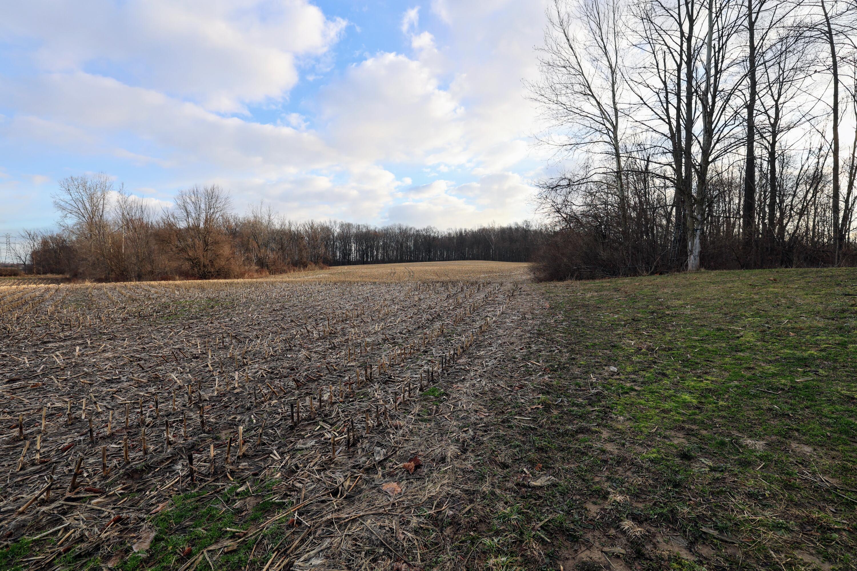 Vl West Glendora Road Buchanan, MI 49107 - Photo 33 of 55 33