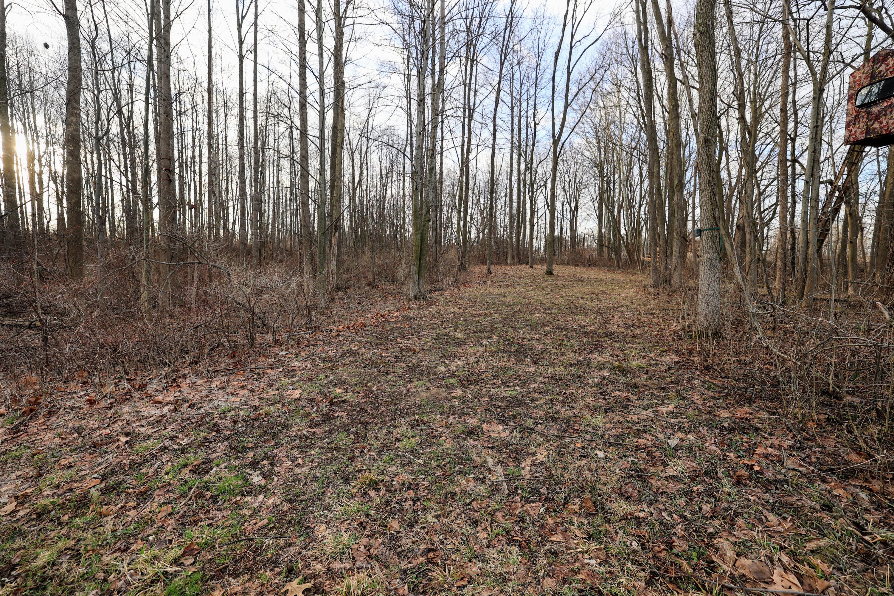 Vl West Glendora Road Buchanan, MI 49107 - Photo 34 of 55 34